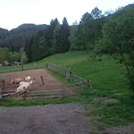 Casa vacanze Haus Maria Arnoldstein