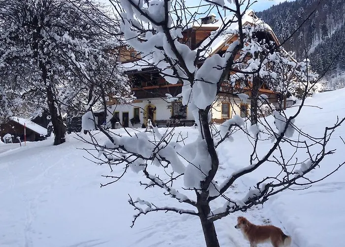 Dom wakacyjny Haus Maria *